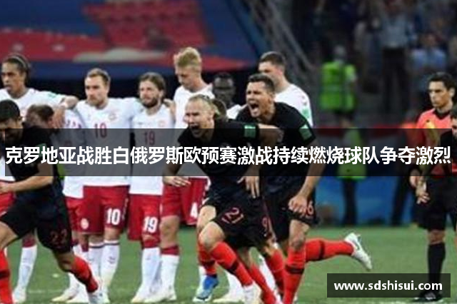 克罗地亚战胜白俄罗斯欧预赛激战持续燃烧球队争夺激烈 克罗地亚战胜白俄罗斯欧预赛激战持续燃烧球队争夺激烈